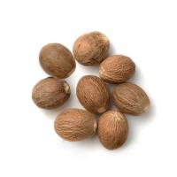 جوز هندی درشت