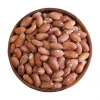 بادام استانه