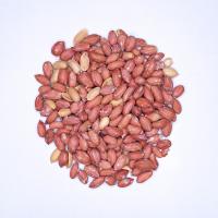 بادام زمینی آستانه