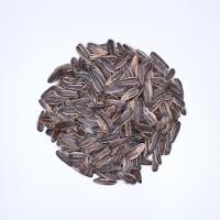 تخمه دور سفید کانادایی