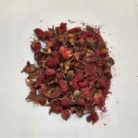 گلنار فارسی