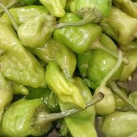 ترشی فلفل همدانی