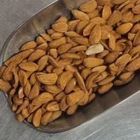 مغز بادام ایرانی خام مامایی