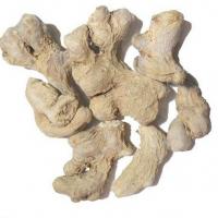 زنجبیل درشت