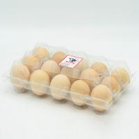 تخم مرغ رسمی