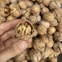 گردو با پوست کاغذی