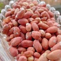 بادام زمینی