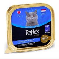 ووم رفلکس گربه