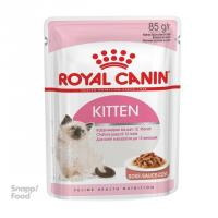 پوچ بچه گربه کیتن رویال کنین