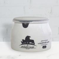 ماست کم چرب پروبیوتیک ماهشام
