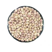 لوبیا چیتی