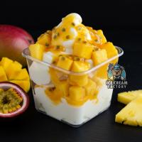 تروپیکال دیلایت