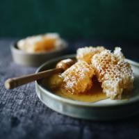 عسل آویشن با موم 1 کیلوگرم - عسل مدا