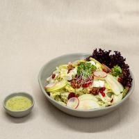 سالاد مهستان