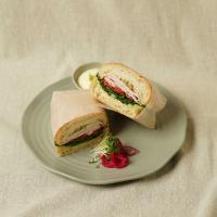 ساندویچ پستو ترکی