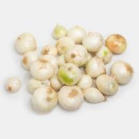 پیاز سفید درجه 2