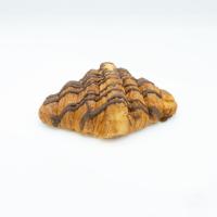 کروسان شکلاتی