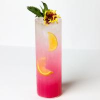 کاکتوس مینت