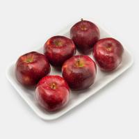 سیب قرمز ممتاز