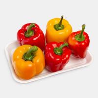 فلفل دلمه ای رنگی ممتاز