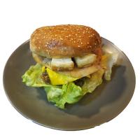 زینگر هالومی