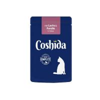 پوچ گربه کوشیدا طعم ماهی قزل آلا وزن 100 گرم