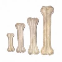 استخوان فلورایدی