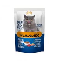 پوچ پته مرغ و گوشت مخصوص گربه یامیکس 85 گرم