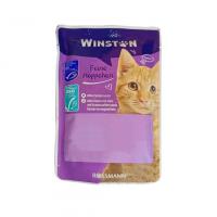پوچ گربه وینستون طعم ماهی سالمون و ماهی قزل آلا 100 گرمی