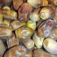 خرما زاهدی