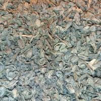 چای سبز اعلاء