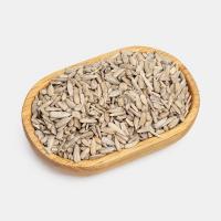 مغز تخمه آفتابگردان