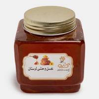 عسل وحشی لرستان 500 گرم