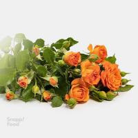 دسته گل رز مینیاتوری نارنجی فوق ممتاز