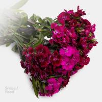 دسته گل قرنفل بنفش