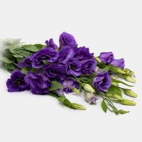 دسته گل لیسینتوس بنفش