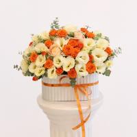 باکس کوچک پرتقالی