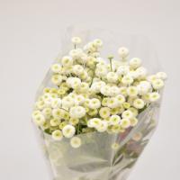 دسته گل مخلصه سفید