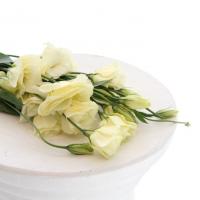 دسته گل لیسین توس لیمویی