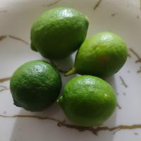لیمو شیرازی