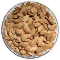 تخمه کدوگوشتی دوآتیشه