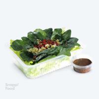 سالاد اسفناج و زرشک