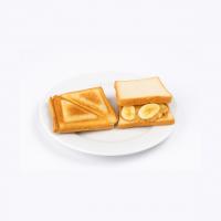 تست پروتئین