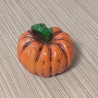 کدو تزیینی پاییز 4