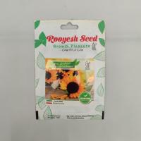 بذر گل آفتابگردان زینتی