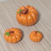 کدو حلوایی تزیینی۶