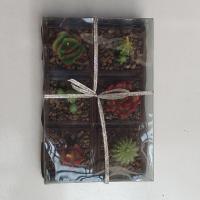 شمع مدل کاکتوس