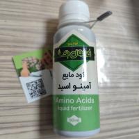 کود مایع آمینو اسید کودینو