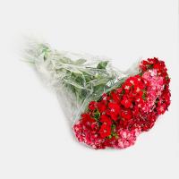 دسته گل قرنفل قرمز