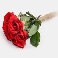 دسته گل رز قرمز 7 شاخه ساده